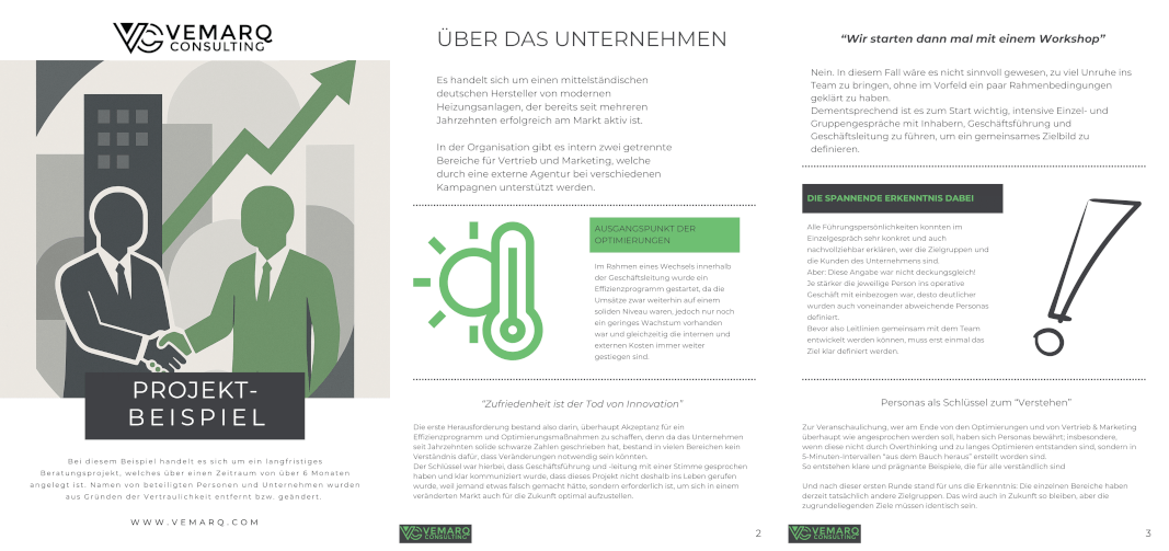 Vorschaubild Flyer Projekt-Beispiel