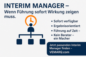 Übersichtsgrafik Interim Manager
